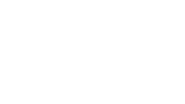 Max & the team at Custom Car Collective did an incredible job protecting my Tesla Model 3 (3)